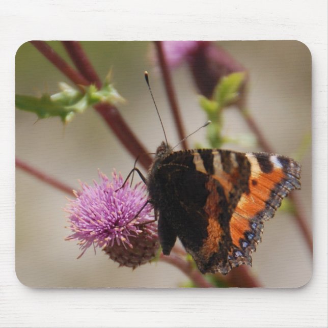 Borboleta Mousepad (Frente)