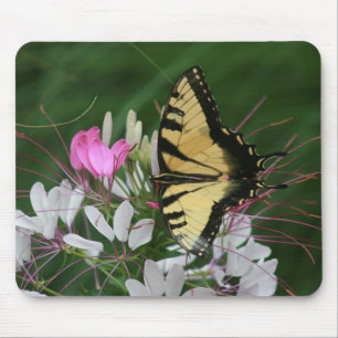 Borboleta Mousepad