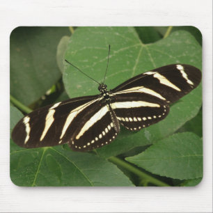 Borboleta Mousepad de Longwing da zebra