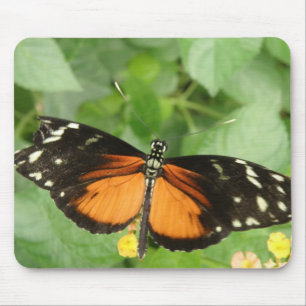 Borboleta Mousepad de Longwing do tigre