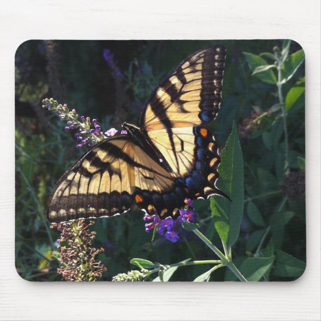 Borboleta Mousepad de Swallowtail (Frente)