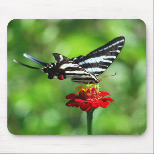 Borboleta Mousepad de Swallowtail da zebra