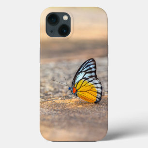 Borboleta na praia