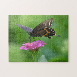 Borboleta Na Zinnia Quebra-cabeça