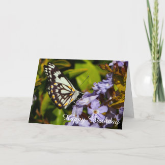 Borboleta no cartão de aniversário de vazio