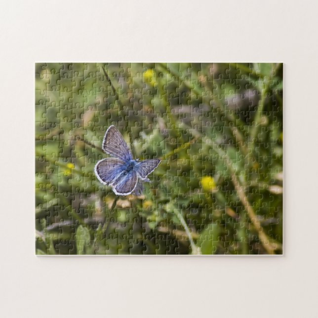 Borboleta Quebra-cabeça 3 (Horizontal)
