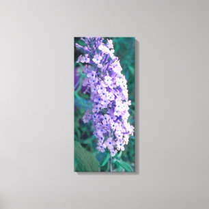 Borboleta Roxa Canvas Bush
