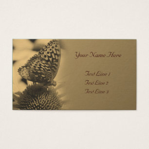 Borboleta Sepia Envelhecida Na Natureza Da Flor