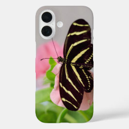 Borboleta Zebra Longwing