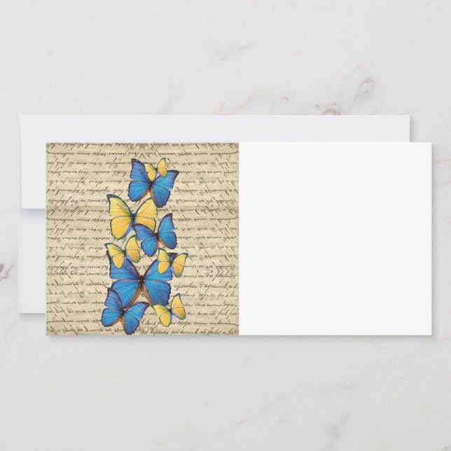 Borboletas azuis e amarelas (Frente)