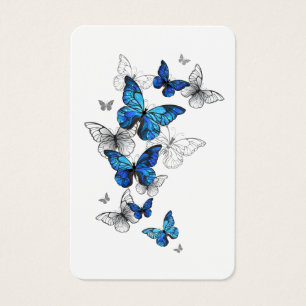 Borboletas Azuis Morpho