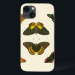 Borboletas Brilhantes por Pieter Cramer<br><div class="desc">Essas borboletas brilhantes são extremamente coloridas em sua apresentação. Uma peça incrível de Pieter Cramer,  seria um excelente presente para o amante da natureza em sua vida!</div>
