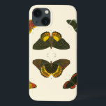 Borboletas Brilhantes por Pieter Cramer<br><div class="desc">Essas borboletas brilhantes são extremamente coloridas em sua apresentação. Uma peça incrível de Pieter Cramer,  seria um excelente presente para o amante da natureza em sua vida!</div>