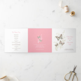 Borboletas cor-de-rosa e marrom do programa de ren