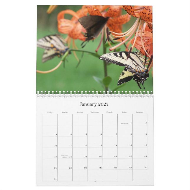 Borboletas de Swallowtail, calendário 2009 (Jan 2027)