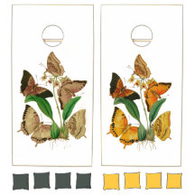 Borboletas do vintage