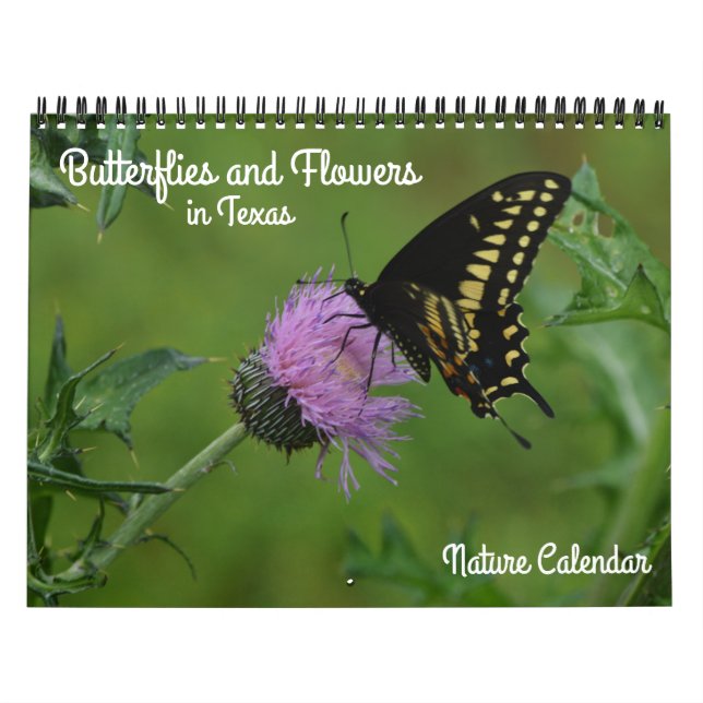 Borboletas e Flores no Calendário Natural do Texas (Capa)