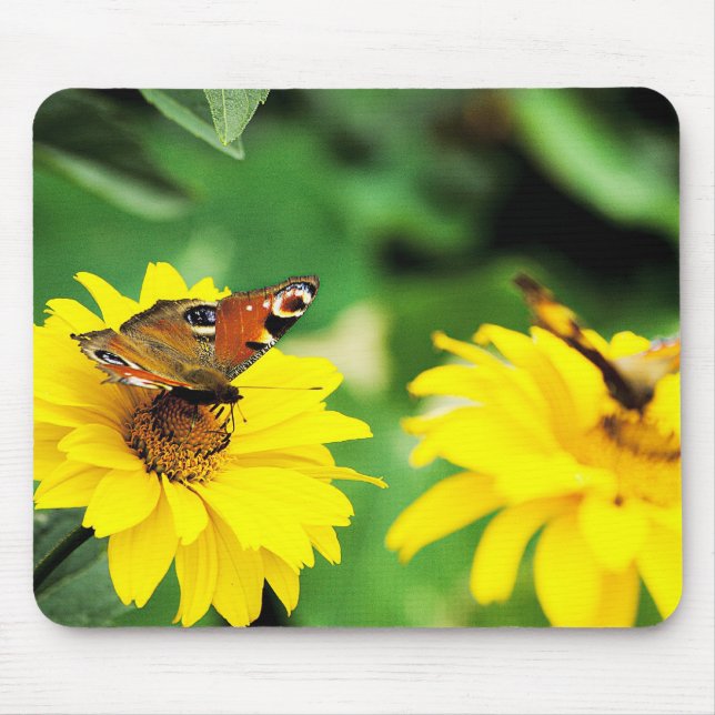 Borboletas - Mousepad (Frente)