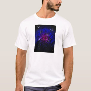 Borboletas na camisa da noite
