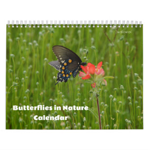 Borboletas no Calendário Natureza