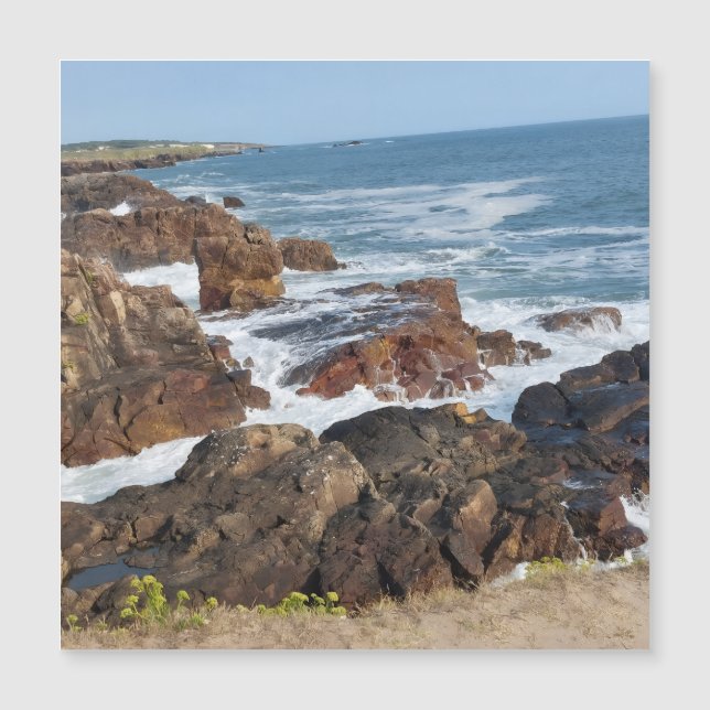 Bord de mer français en Vendée (Frente)
