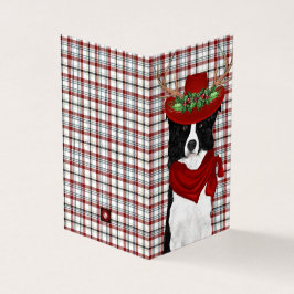 Borda Cachorro de Natal Collie com Xadrez Ocidenta