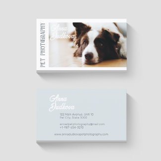 Borda Collie Pet Photoics Cartão de visita