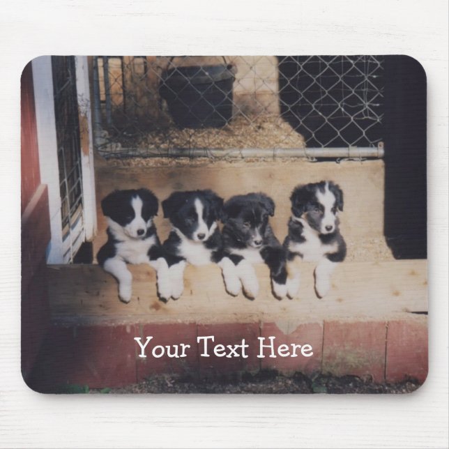 Borda Collie Puppies Dog Mousepad (Frente)