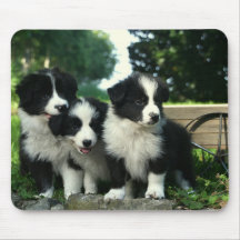 Borda Collie Puppy Dog Mousepad