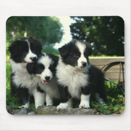 Borda Collie Puppy Dog Mousepad