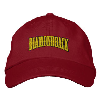 Bordado Boné Diamondback Ball