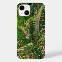 Bordas Tropicais de Palm Lit Sunset