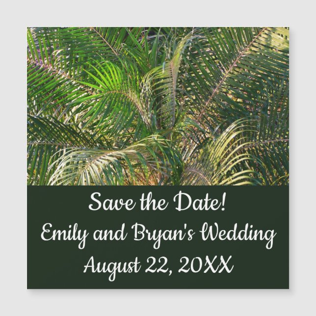 Bordas Tropicais de Palm Lit Sunset (Frente)