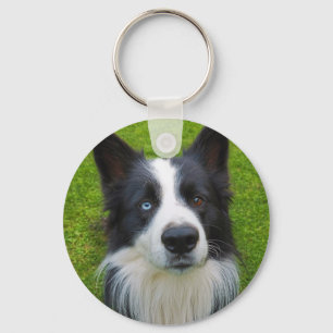 Border Collie Chaveiro