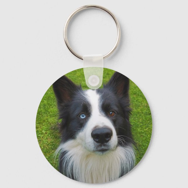 Border Collie Chaveiro (Frente)