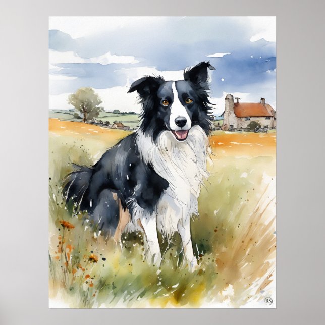 Border Collie - Impressão de Arte Canino (Frente)