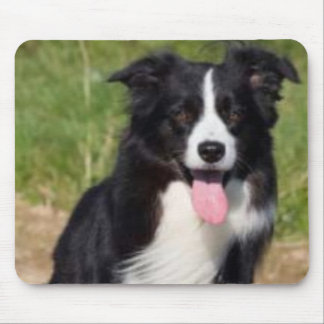 Border collie Mousepad