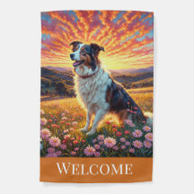 Border Collie na Fazenda