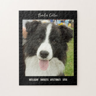 Border Collie Photo Dog Breed Quebra-cabeça
