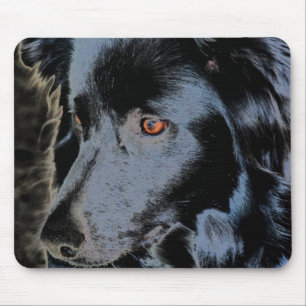 Border collie preto enfrenta Mousepad
