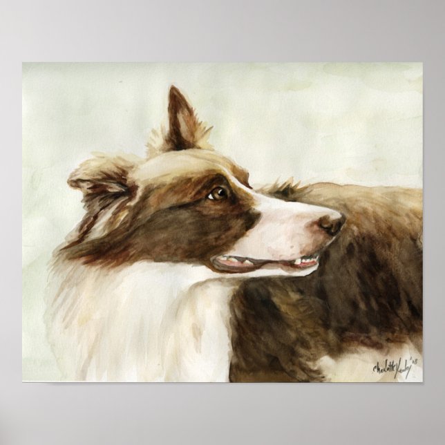 "Border Collie Profile" Art Reproduction Impressão (Frente)