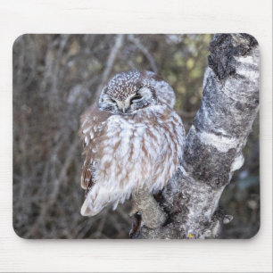 Boreal Coruja Mouse Pad