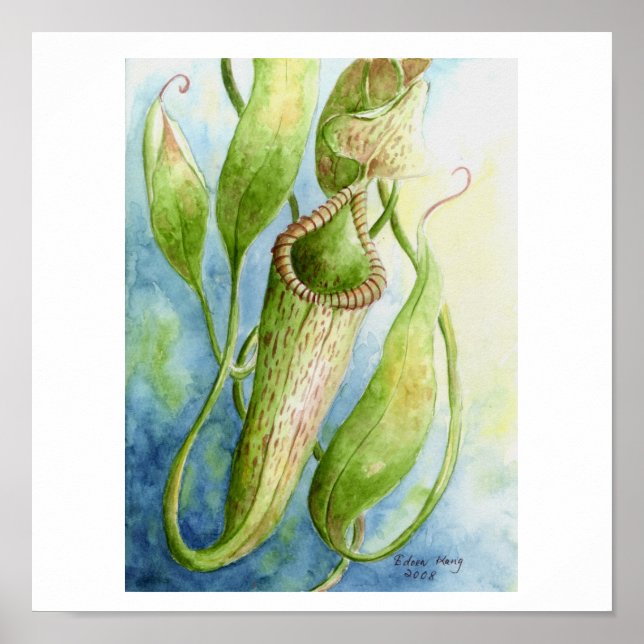 Borneo Nepenthes Watercolor Art Poster (Frente)
