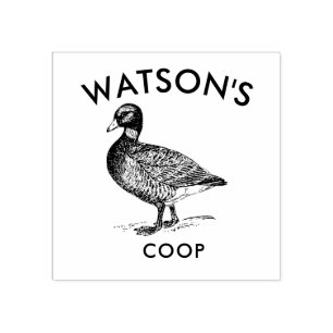 Borracha Coop da Família   Carimbo de ovos de pata