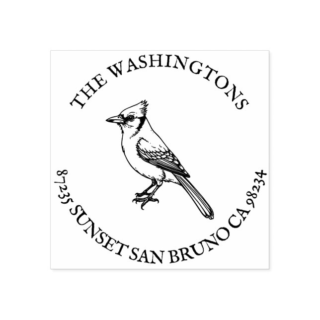 Borracha Nome do Carimbo do Endereço de Devolução Azul Pers (Impressão)