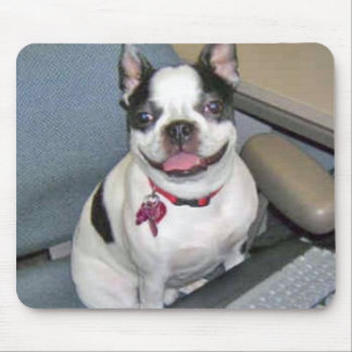 Boston no computador Mousepad