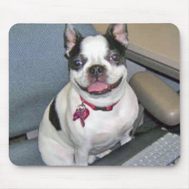 Boston no computador Mousepad (Frente)