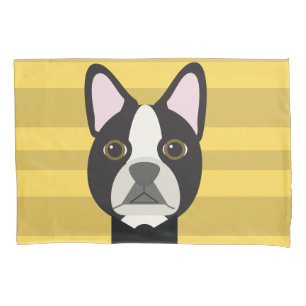 Boston Terrier
