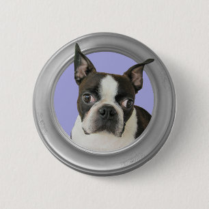 BOSTON TERRIER BOTON
