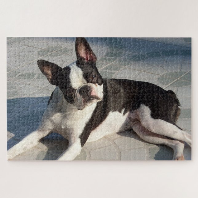 Boston Terrier Dog Jigsera Quebra-cabeça preto e b (Horizontal)